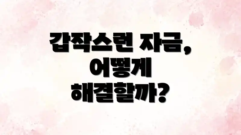갑작스런 자금, 어떻게 해결할까?