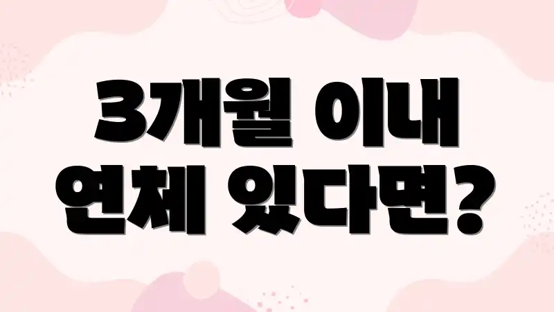 3개월 이내 연체 있다면?