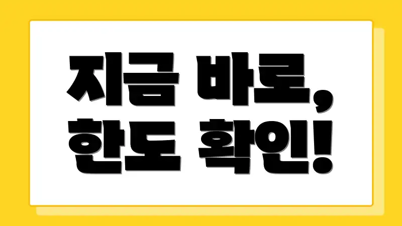 지금 바로, 한도 확인!