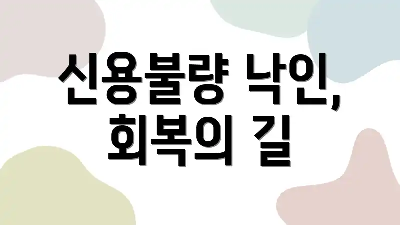 신용불량 낙인, 회복의 길