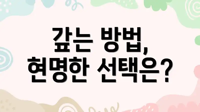 갚는 방법, 현명한 선택은?