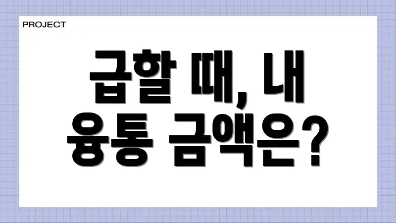 급할 때, 내 융통 금액은?
