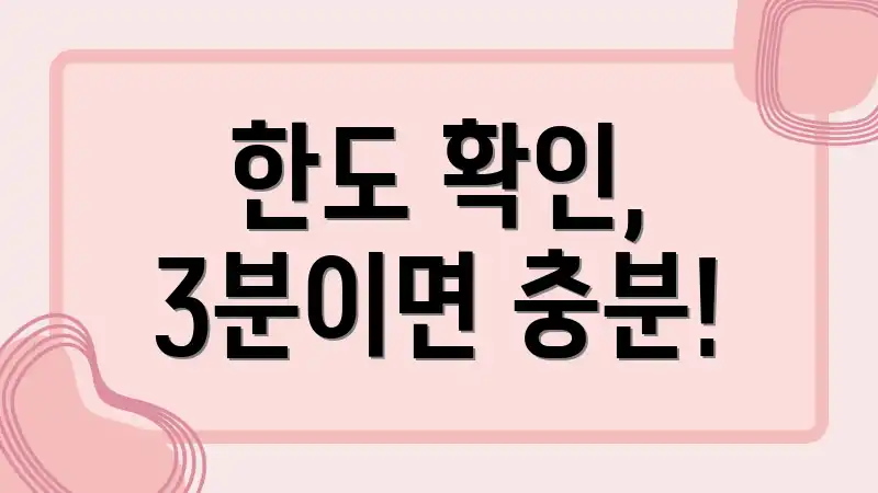 한도 확인, 3분이면 충분!