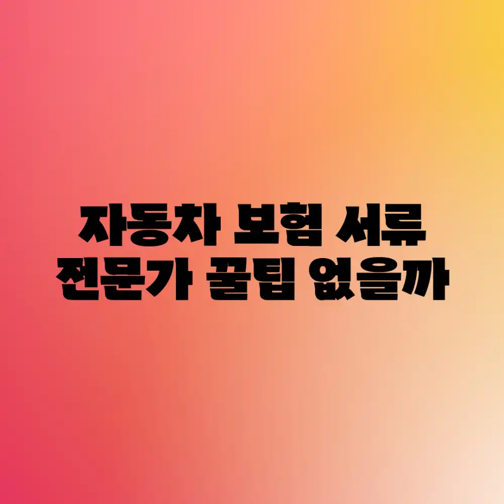 자동차 보험 서류, 전문가 꿀팁 없을까?