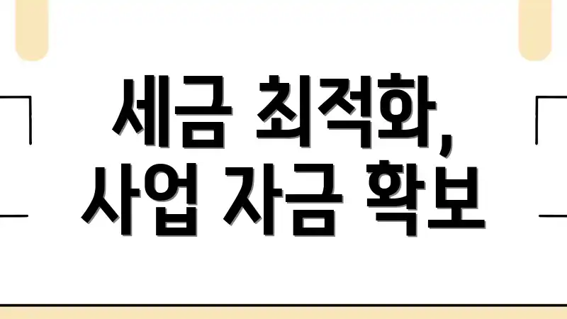 세금 최적화, 사업 자금 확보
