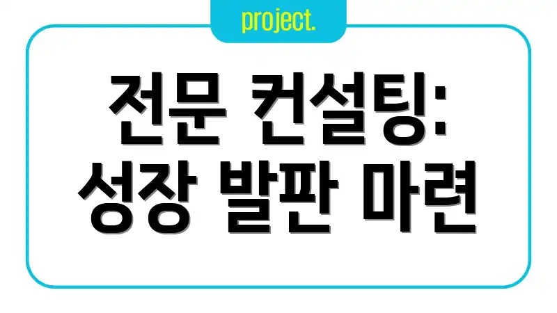 전문 컨설팅: 성장 발판 마련