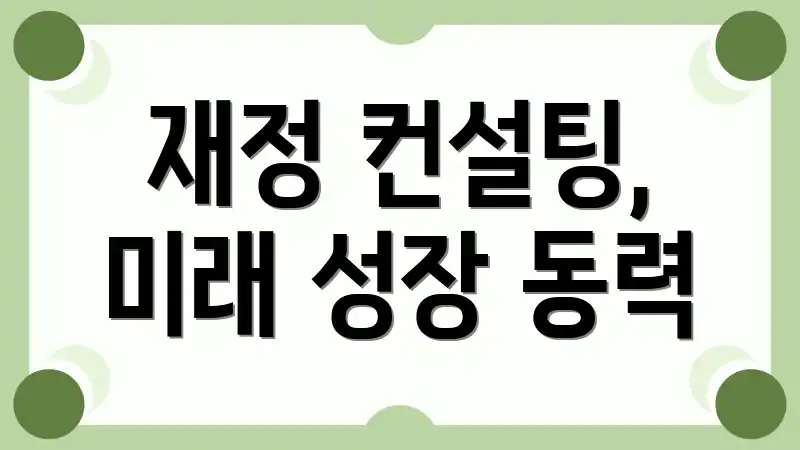 재정 컨설팅, 미래 성장 동력