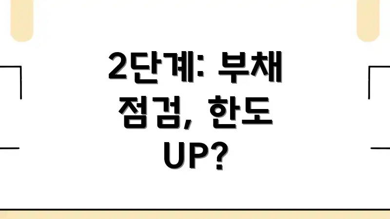 2단계: 부채 점검, 한도 UP?
