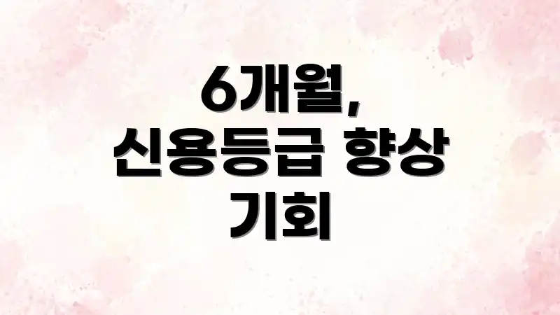 6개월, 신용등급 향상 기회