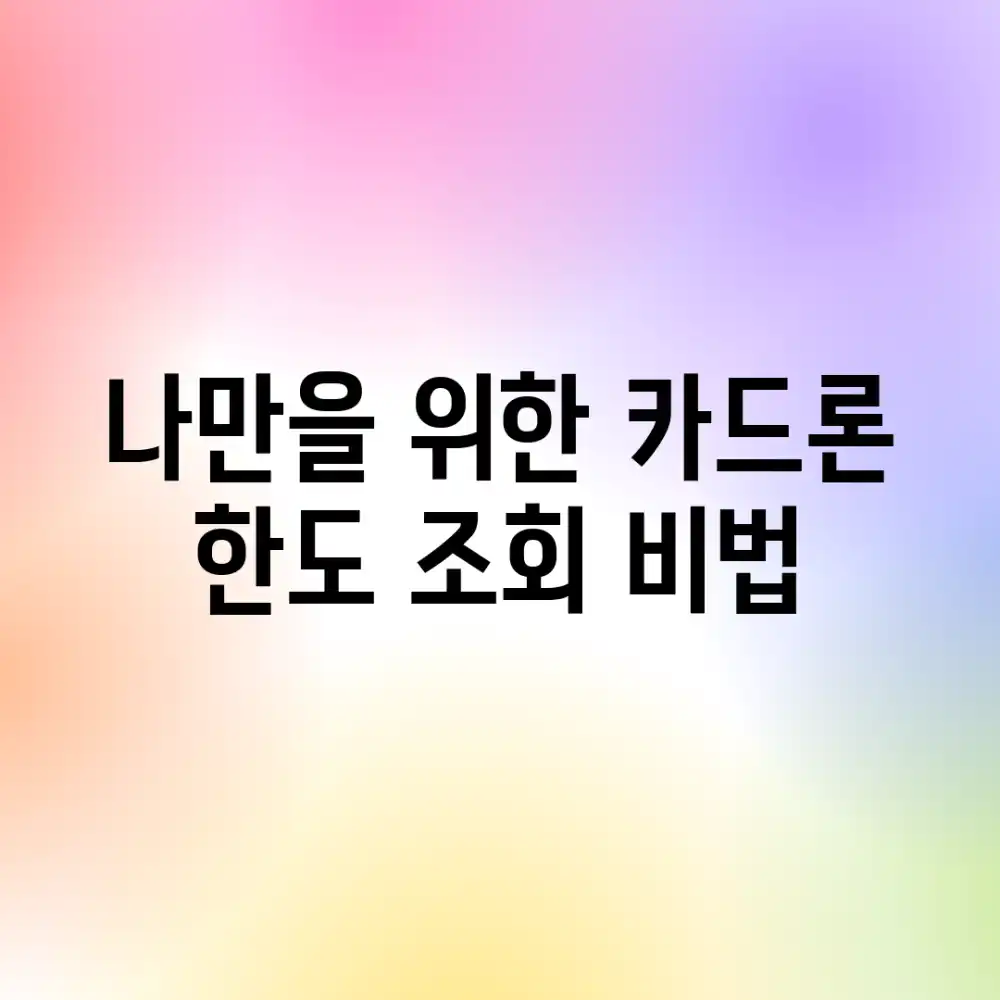 나만을 위한 카드론 한도 조회 비법!