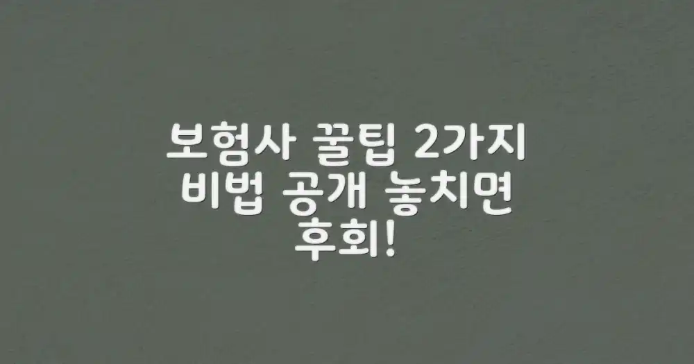 2가지 보험사 꿀팁