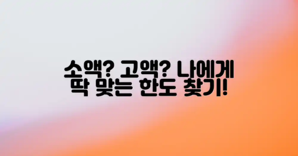 소액 vs 고액: 나에게 맞는 한도 찾기