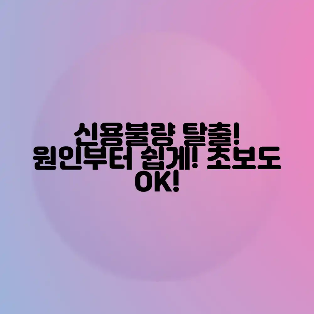 신용불량 탈출: 초보도 파악하는 원인 분석